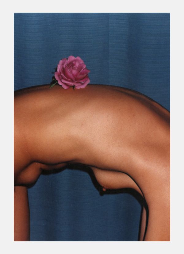 Marcel Mariën, Female Nude with Flower (1990)